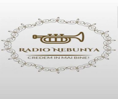 79404_Radio Nebunya.png